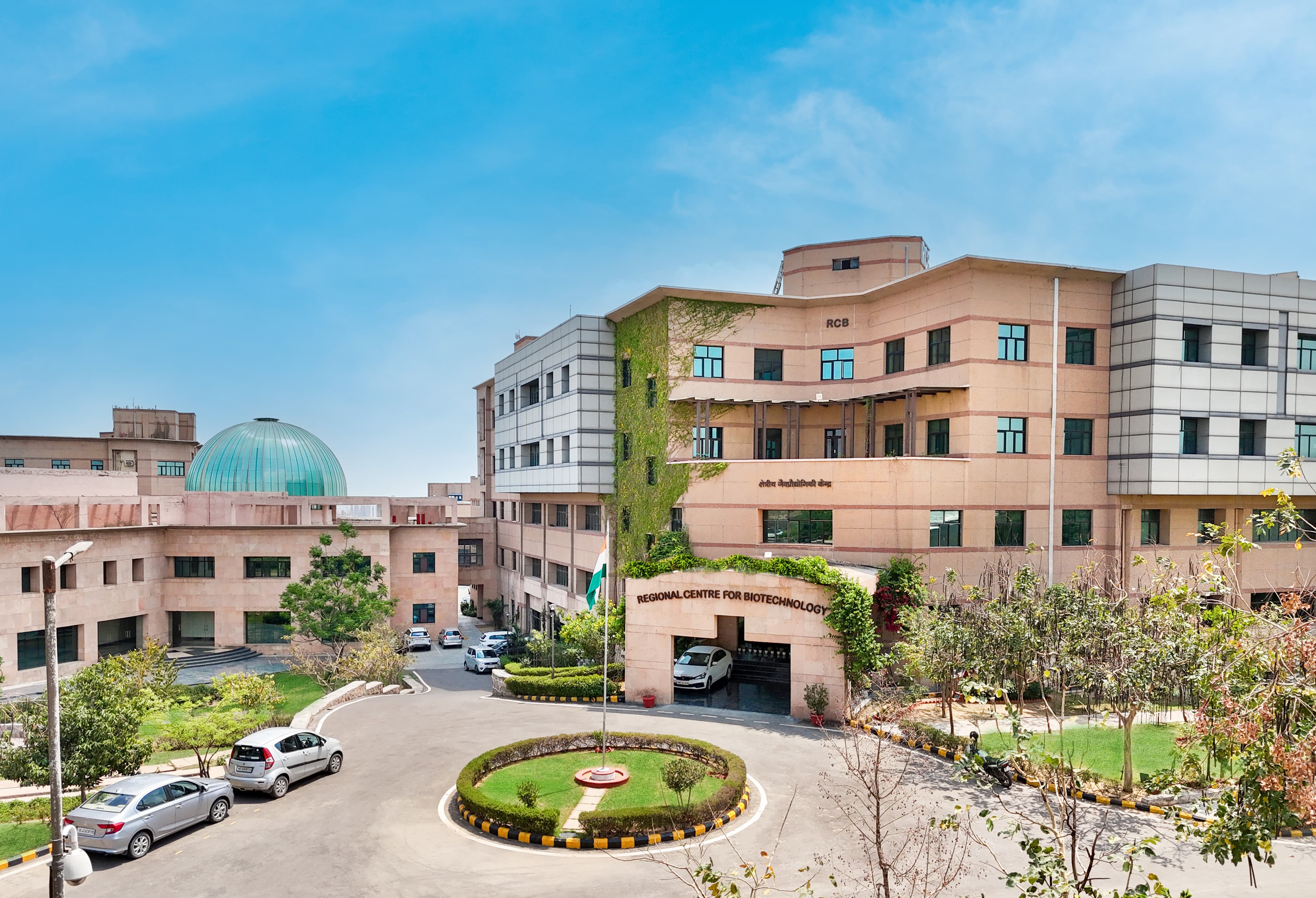 RCB Institute Background